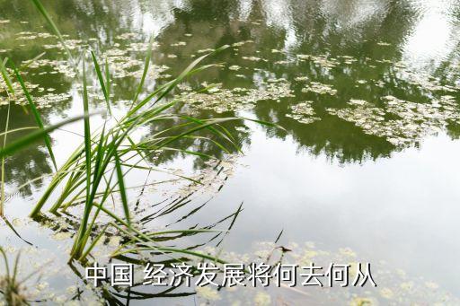 中國經濟轉型必然失敗
