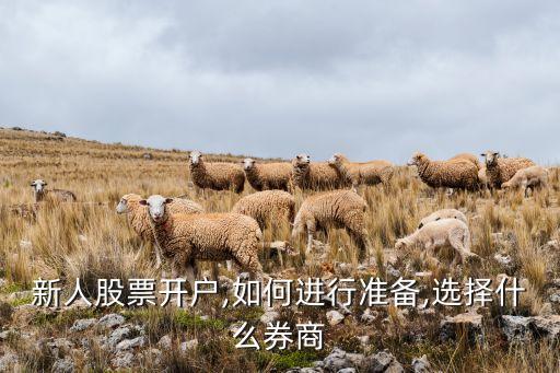 準備上市證券公司,2022年上市的證券公司