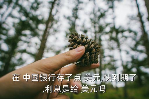 在 中國(guó)銀行存了點(diǎn) 美元,快到期了,利息是給 美元嗎