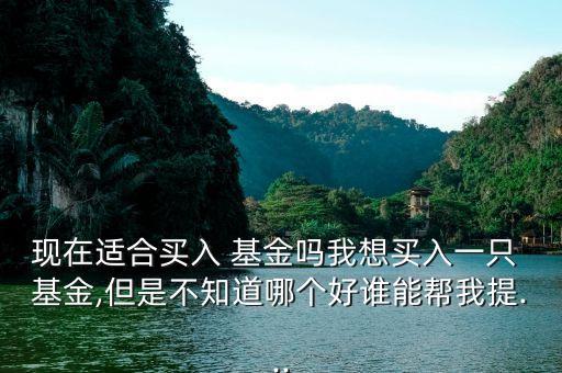 現(xiàn)在適合買入 基金嗎我想買入一只 基金,但是不知道哪個(gè)好誰(shuí)能幫我提...