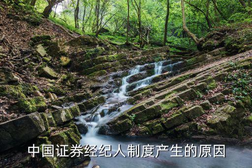 中國證券經(jīng)紀(jì)人制度產(chǎn)生的原因