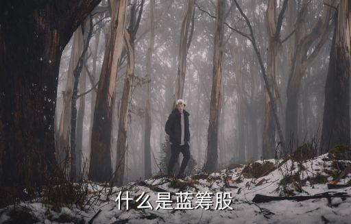 南京巷股票,亳州南京巷錢(qián)莊