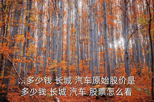 ...多少錢(qián) 長(zhǎng)城 汽車原始股價(jià)是多少錢(qián) 長(zhǎng)城 汽車 股票怎么看