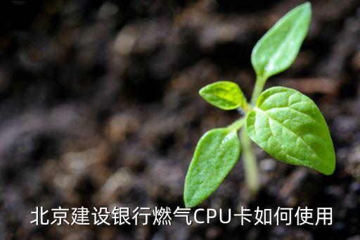  北京建設銀行燃氣CPU卡如何使用