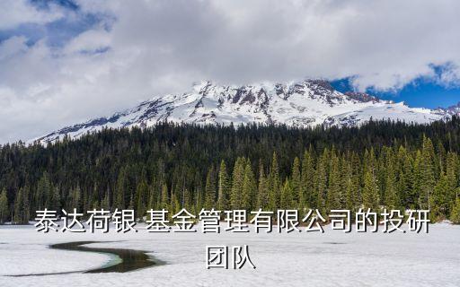  泰達(dá)荷銀 基金管理有限公司的投研團(tuán)隊