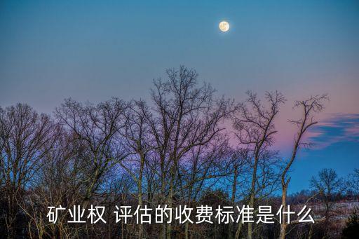  礦業(yè)權(quán) 評估的收費標準是什么