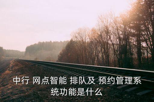 中行 網點智能 排隊及 預約管理系統(tǒng)功能是什么