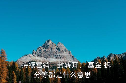 ...持續(xù)營銷、封轉(zhuǎn)開、 基金 拆分等都是什么意思
