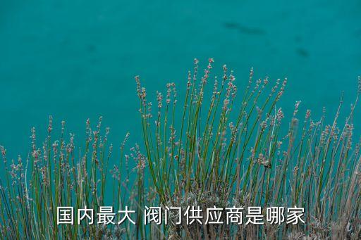 生產(chǎn)閥門(mén)的上市公司,閥門(mén)上市公司排名