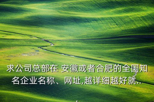 求公司總部在 安徽或者合肥的全國(guó)知名企業(yè)名稱(chēng)、網(wǎng)址,越詳細(xì)越好就...