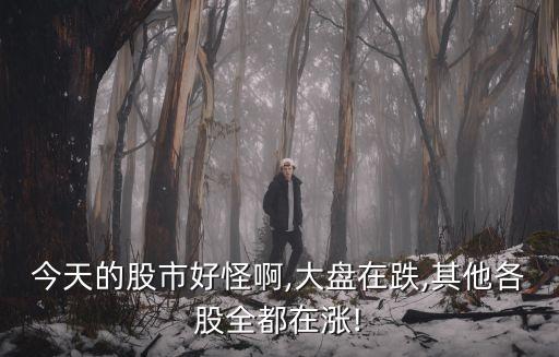 今天的股市好怪啊,大盤(pán)在跌,其他各股全都在漲!