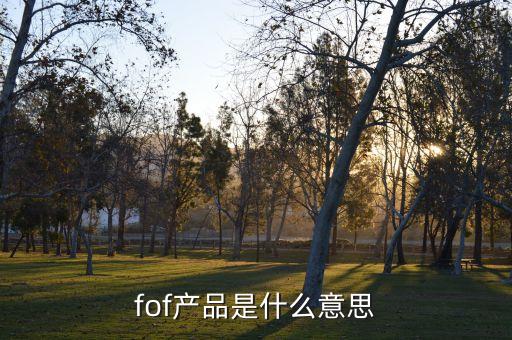 廣發(fā)增強(qiáng)型基金優(yōu)選計劃,廣發(fā)策略優(yōu)選基金 270006