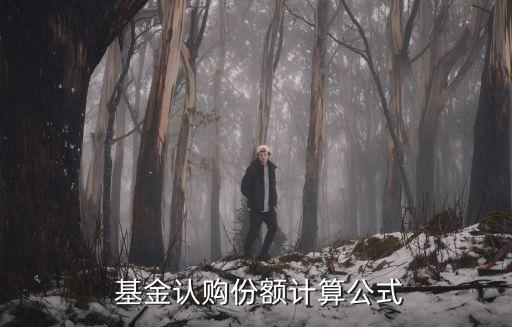  基金認(rèn)購份額計算公式