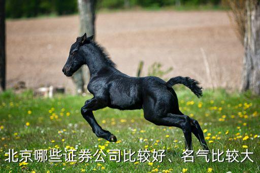 北京哪些證券公司比較好、名氣比較大