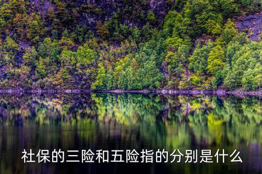 社?；鹫衅?全國(guó)社保基金招聘