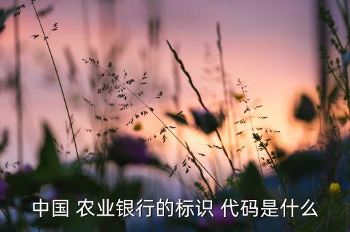 中國 農(nóng)業(yè)銀行的標識 代碼是什么