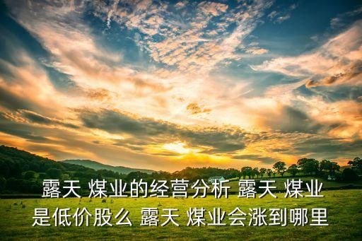  露天 煤業(yè)的經營分析 露天 煤業(yè)是低價股么 露天 煤業(yè)會漲到哪里