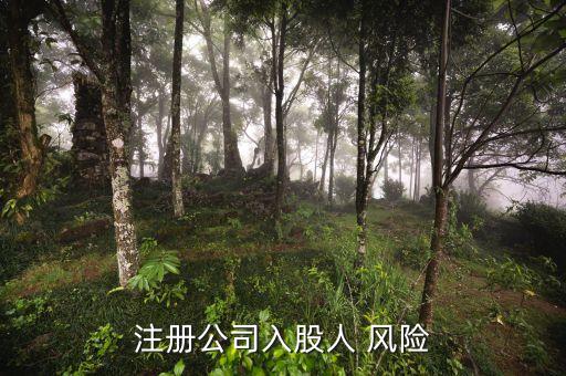 注冊公司入股人 風(fēng)險