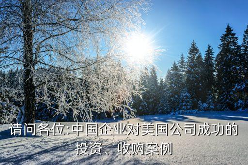 請(qǐng)問各位:中國企業(yè)對(duì)美國公司成功的投資、收購案例