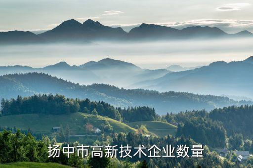 揚中市高新技術(shù)企業(yè)數(shù)量