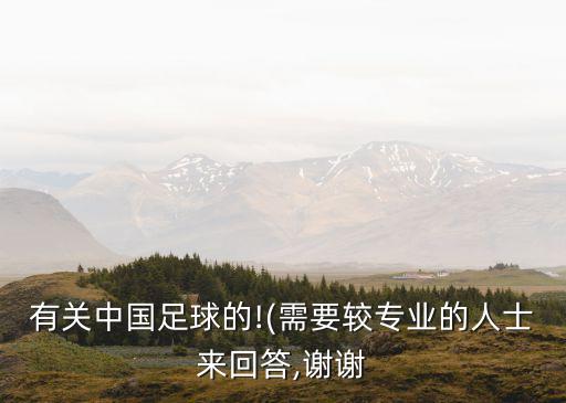 有關(guān)中國(guó)足球的!(需要較專業(yè)的人士來回答,謝謝