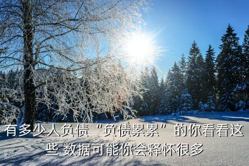 有多少人負(fù)債“負(fù)債累累”的你看看這些 數(shù)據(jù)可能你會(huì)釋懷很多