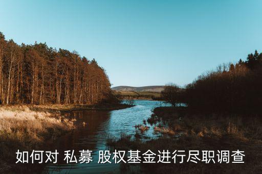 中國私募股權(quán)投資年度報告,私募股權(quán)投資風控報告
