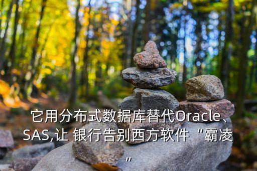 它用分布式數(shù)據(jù)庫替代Oracle、SAS,讓 銀行告別西方軟件“霸凌”