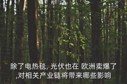 除了電熱毯, 光伏也在 歐洲賣(mài)爆了,對(duì)相關(guān)產(chǎn)業(yè)鏈將帶來(lái)哪些影響