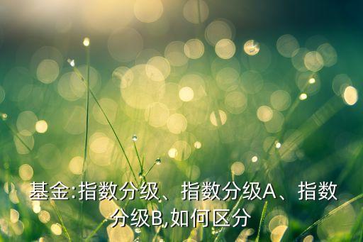  基金:指數(shù)分級、指數(shù)分級A、指數(shù)分級B,如何區(qū)分