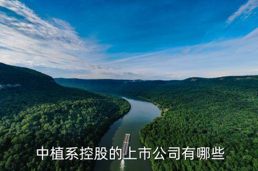 中植集團投資安防