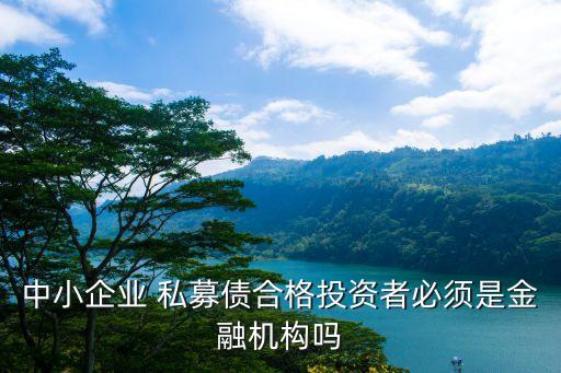 中小企業(yè) 私募債合格投資者必須是金融機構嗎