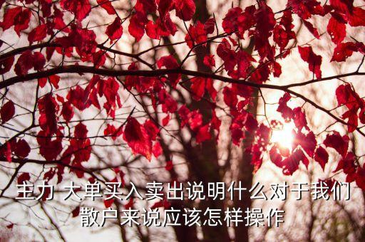 主力 大單買(mǎi)入賣出說(shuō)明什么對(duì)于我們散戶來(lái)說(shuō)應(yīng)該怎樣操作