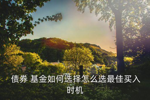  債券 基金如何選擇怎么選最佳買(mǎi)入時(shí)機(jī)