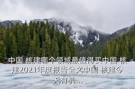 中國 核建哪個領(lǐng)域最值得買中國 核建2021年度報告全文中國 核建今天有機(jī)...