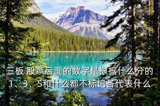三板 股票后面的數(shù)字是根據(jù)什么分的1、3、5和什么都不標記各代表什么...