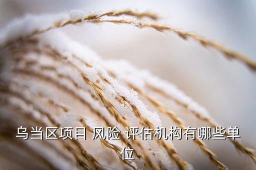 烏當區(qū)項目 風險 評估機構(gòu)有哪些單位