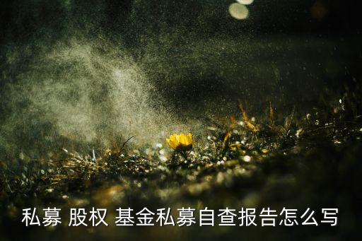 大醫(yī)博愛股權投資基金