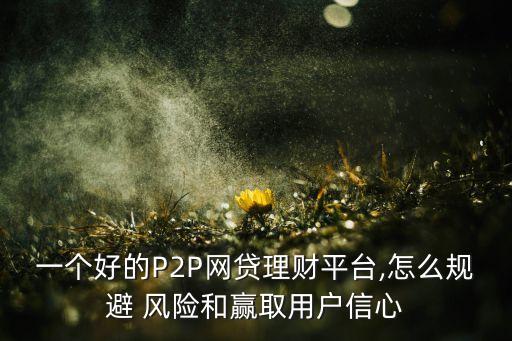 p2p投資風險的防范,簡述投資風險的產生與防范