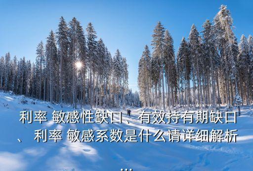  利率 敏感性缺口、有效持有期缺口、 利率 敏感系數(shù)是什么請詳細(xì)解析...