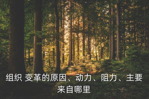 組織 變革的原因、動(dòng)力、阻力、主要來自哪里