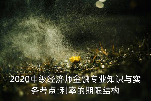 2020中級經(jīng)濟師金融專業(yè)知識與實務考點:利率的期限結構