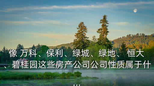 像 萬(wàn)科、保利、綠城、綠地、 恒大、碧桂園這些房產(chǎn)公司公司性質(zhì)屬于什...