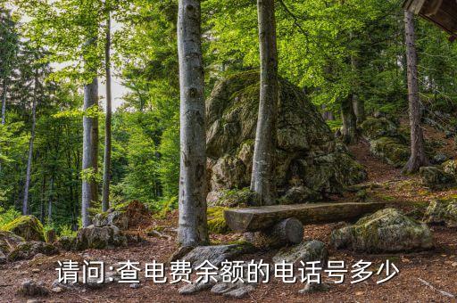 請(qǐng)問(wèn):查電費(fèi)余額的電話號(hào)多少