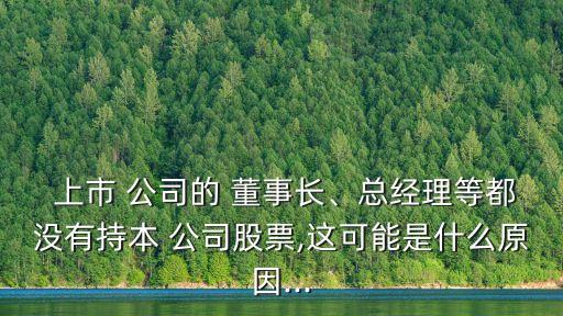  上市 公司的 董事長(zhǎng)、總經(jīng)理等都沒(méi)有持本 公司股票,這可能是什么原因...