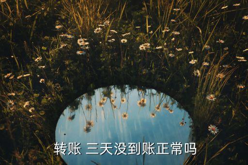  轉賬 三天沒到賬正常嗎
