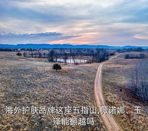 海外護膚品牌這座五指山,薇諾娜、玉澤能翻越嗎