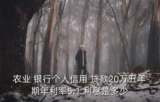 農(nóng)業(yè) 銀行個(gè)人信用 貸款20萬(wàn)五年期年利率5.1 利息是多少