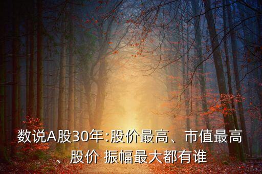 數(shù)說A股30年:股價最高、市值最高、股價 振幅最大都有誰