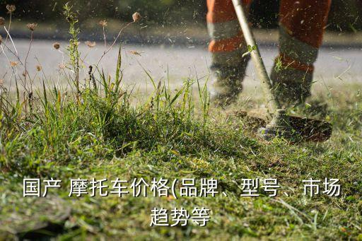 國(guó)產(chǎn) 摩托車價(jià)格(品牌、型號(hào)、市場(chǎng)趨勢(shì)等